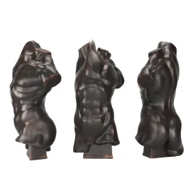 Chelini torso